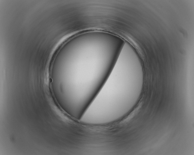 X0000114190940200910091025