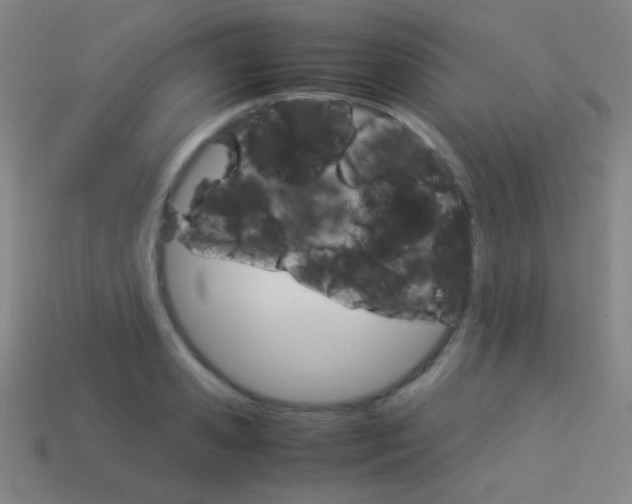 X0000114190941200910091025