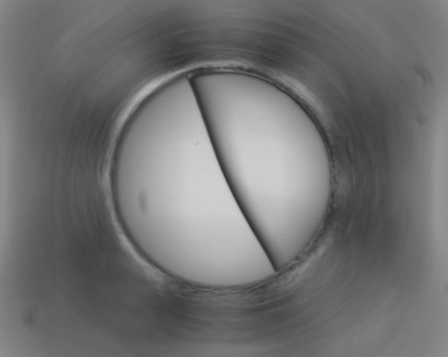 X0000114190943200910091025