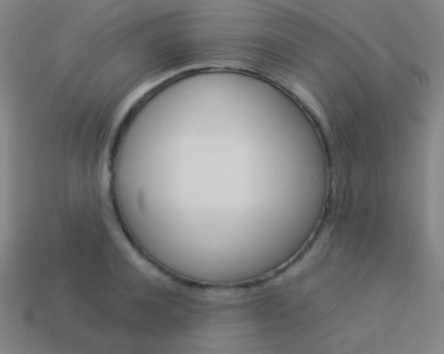 X0000114190944200910091025