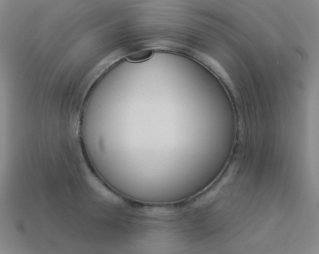 X0000114190946200910091025