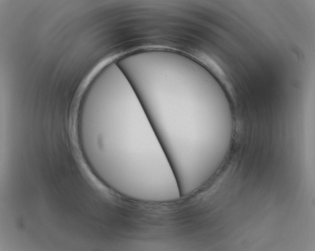 X0000114190947200910091025