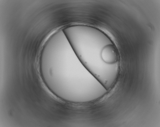 X0000114190949200910091025