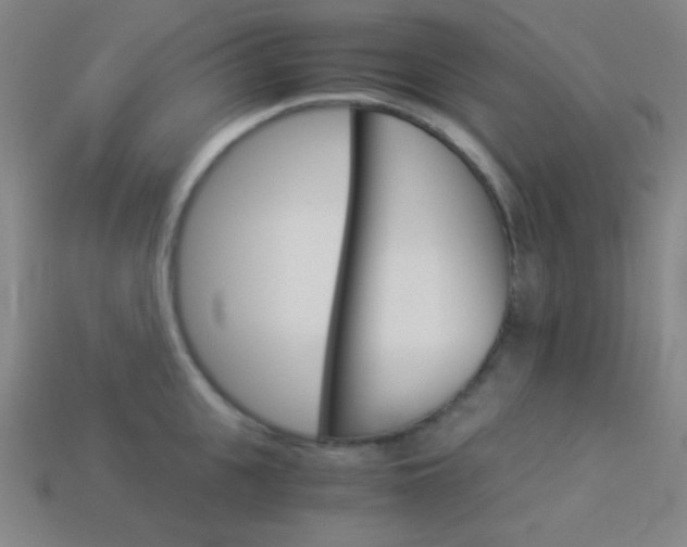 X0000114190951200910091025