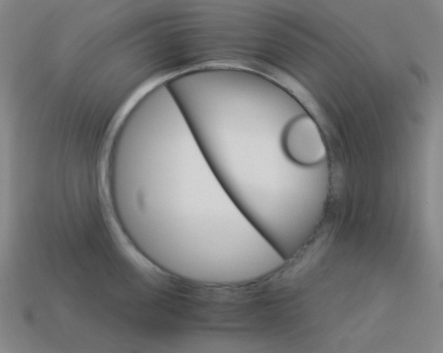 X0000114190955200910091025