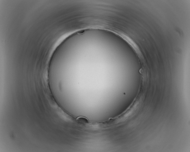 X0000114190956200910091025