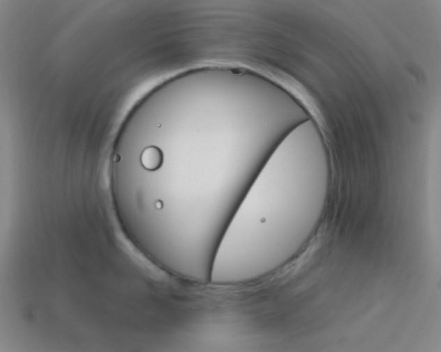 X0000114190958200910091025