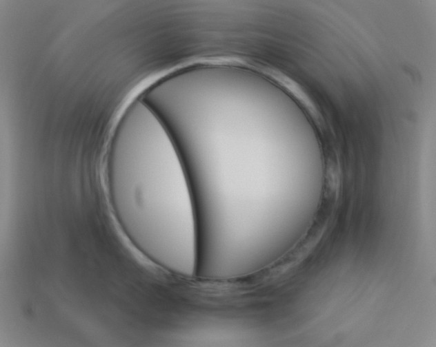 X0000114190959200910091025