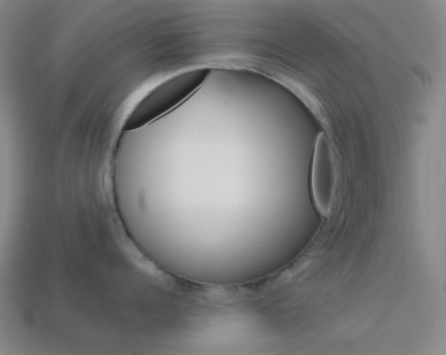 X0000114190960200910091025