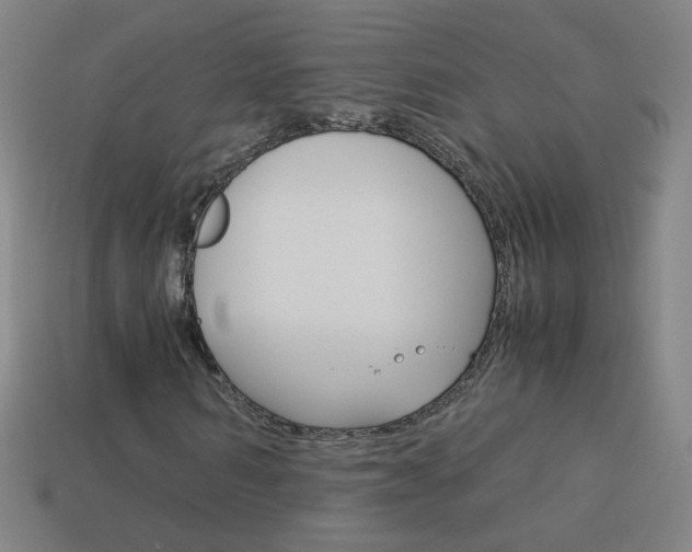 X0000114190962200910091025
