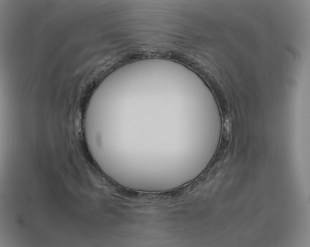 X0000114190963200910091025