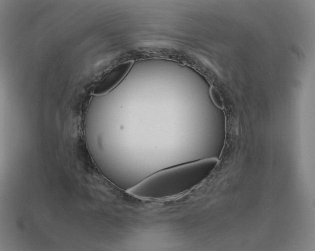 X0000114190965200910091025