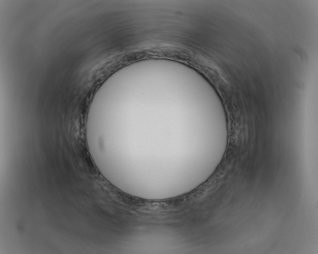 X0000114190966200910091025