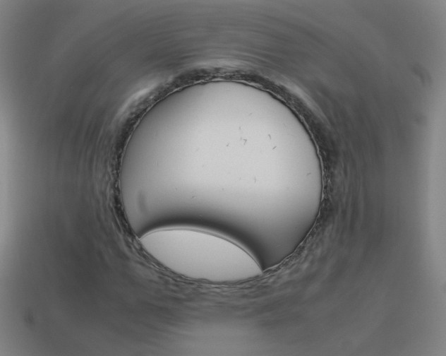 X0000114190967200910091025
