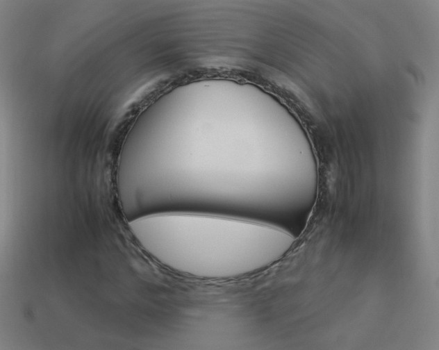 X0000114190968200910091025