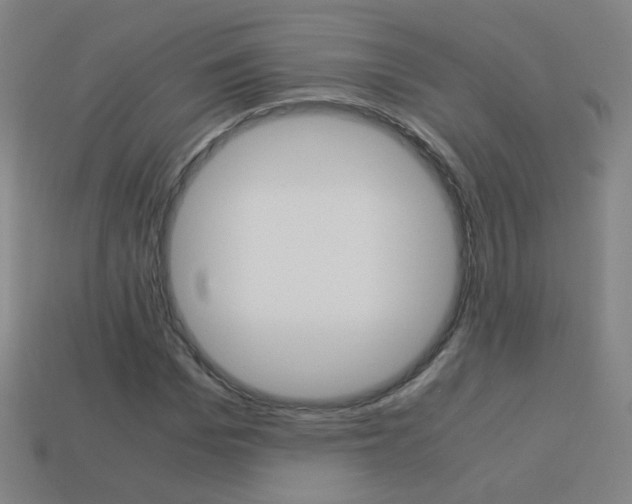 X0000114190969200910091025