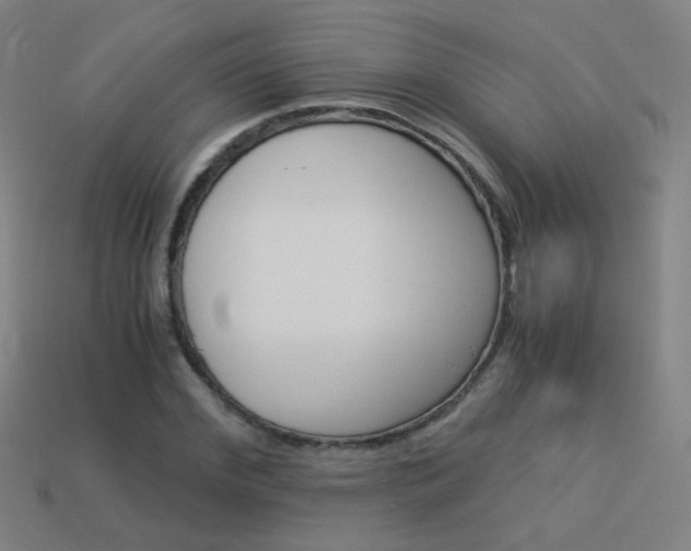 X0000114190972200910091025