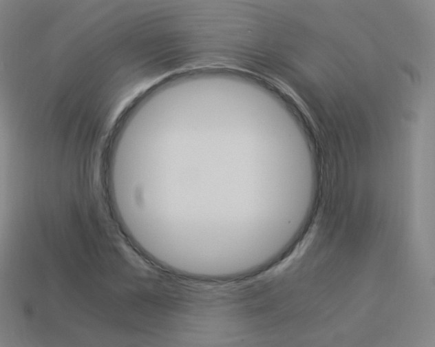 X0000114190973200910091024