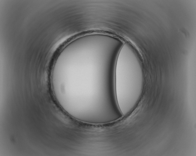X0000114190975200910091024