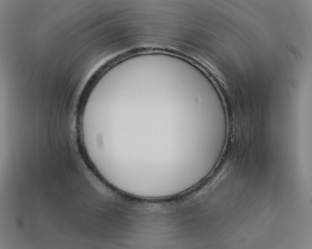 X0000114190976200910091024