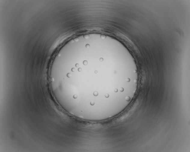 X0000114190978200910091024