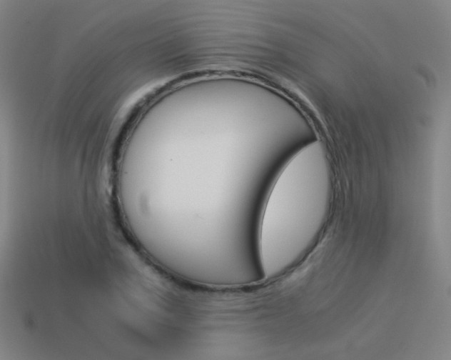 X0000114190979200910091024
