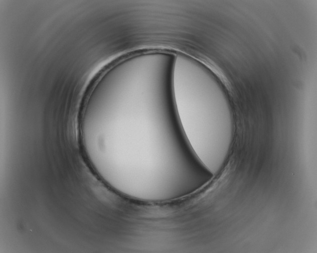 X0000114190980200910091024