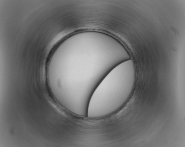 X0000114190982200910091024