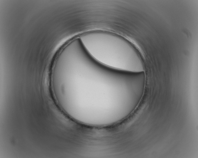 X0000114190983200910091024