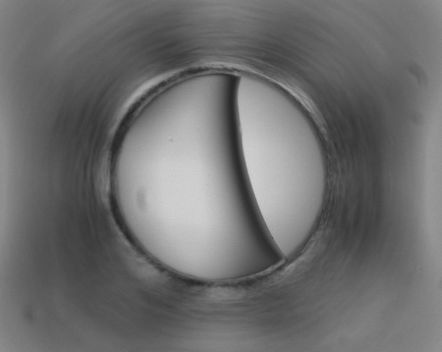 X0000114190984200910091024