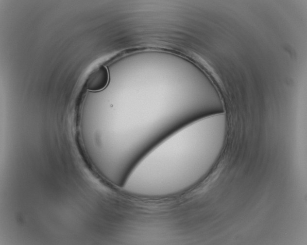 X0000114190987200910091024