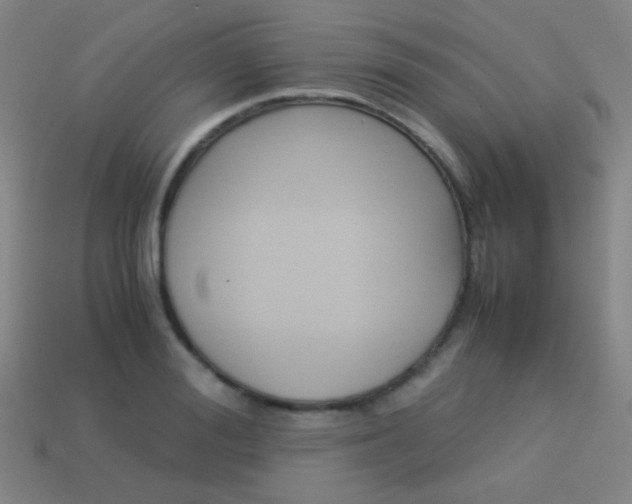 X0000114190988200910091024