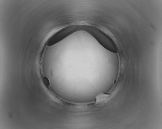 X0000114190989200910091024