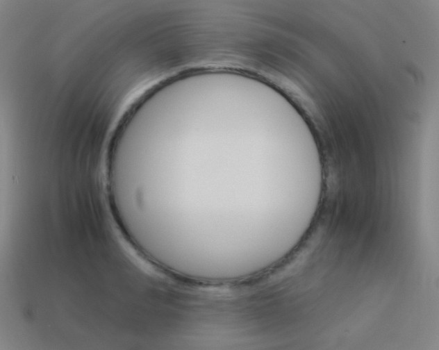 X0000114190990200910091024