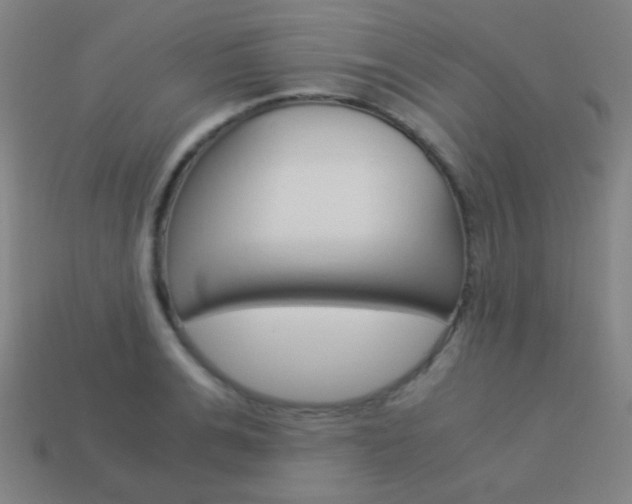 X0000114190991200910091024
