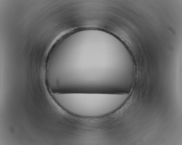 X0000114190992200910091024