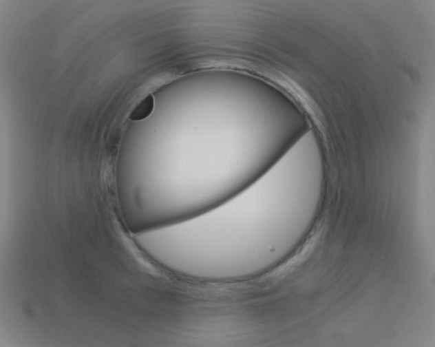 X0000114190993200910091024
