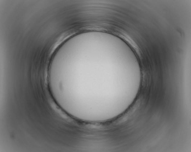X0000114190994200910091024