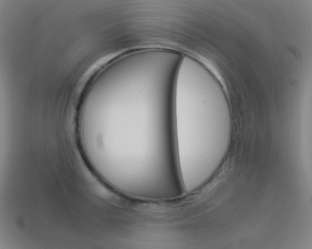 X0000114190995200910091024