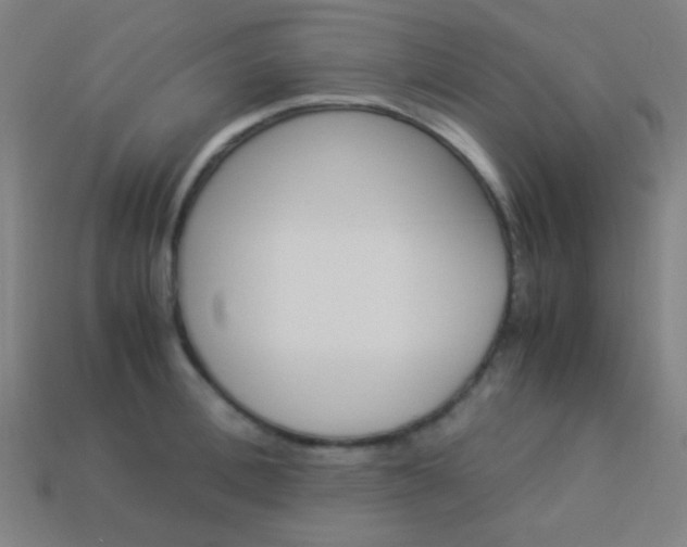 X0000114190996200910091024