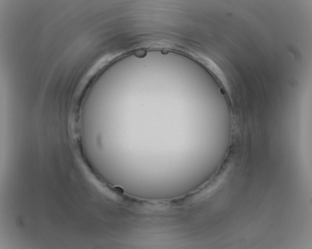 X0000114190997200910091024