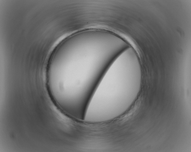 X0000114190999200910091024
