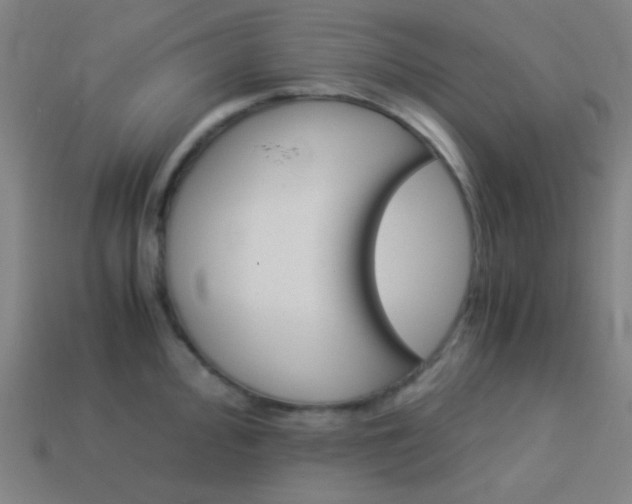 X0000114191000200910091024