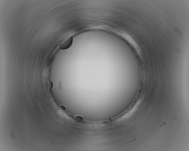 X0000114191001200910091024