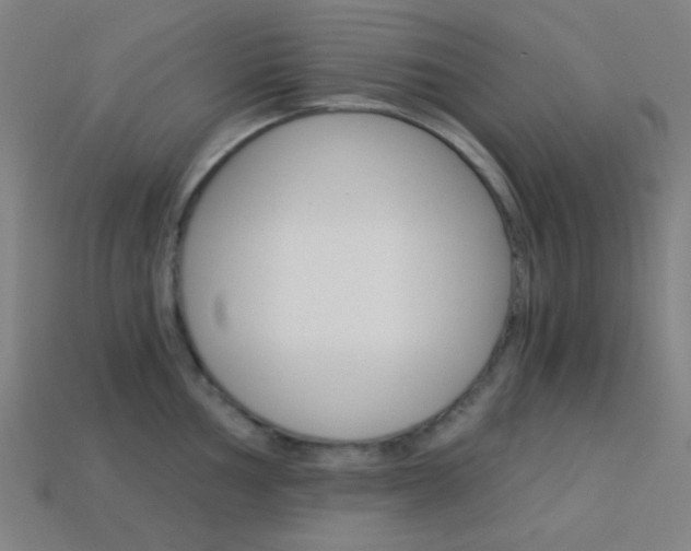 X0000114191002200910091024