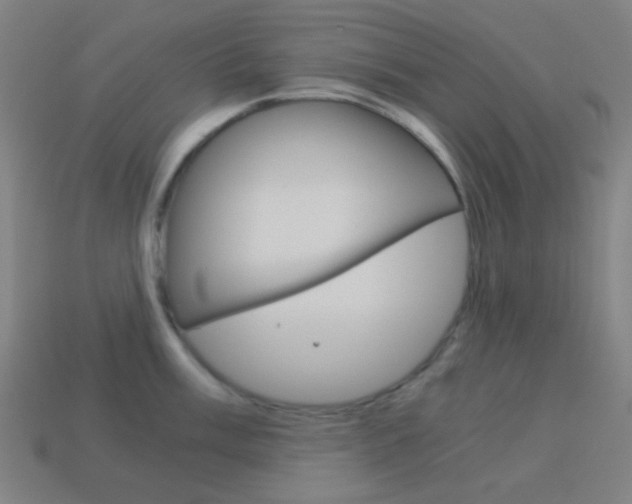 X0000114191003200910091024