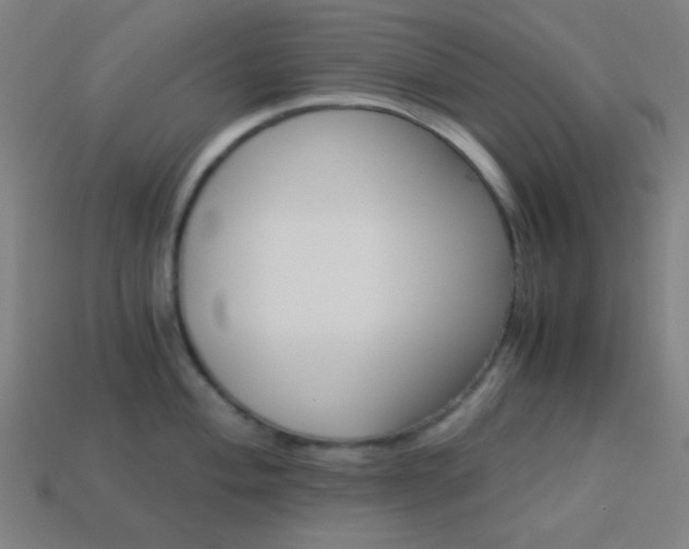 X0000114191004200910091024
