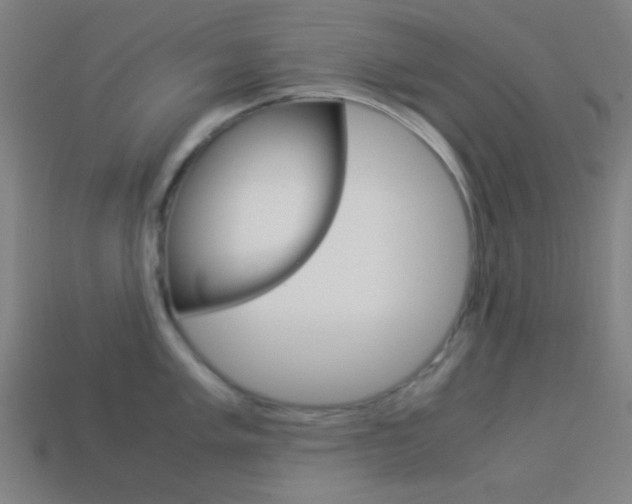 X0000114191005200910091024
