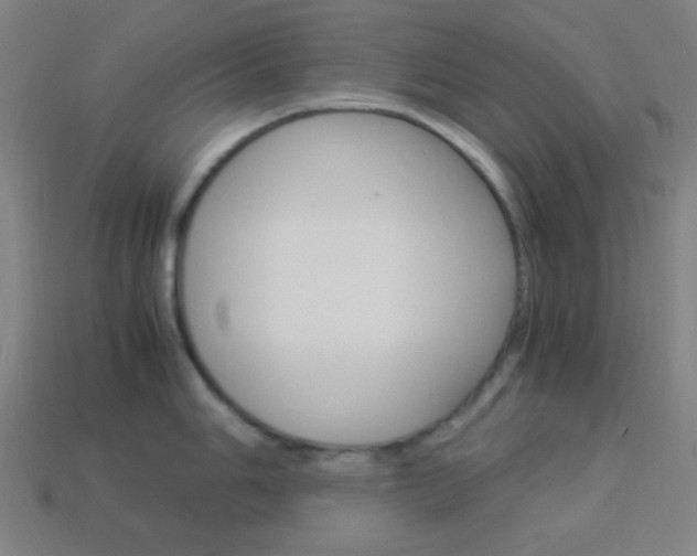 X0000114191006200910091024