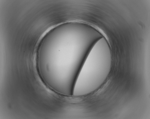 X0000114191007200910091024